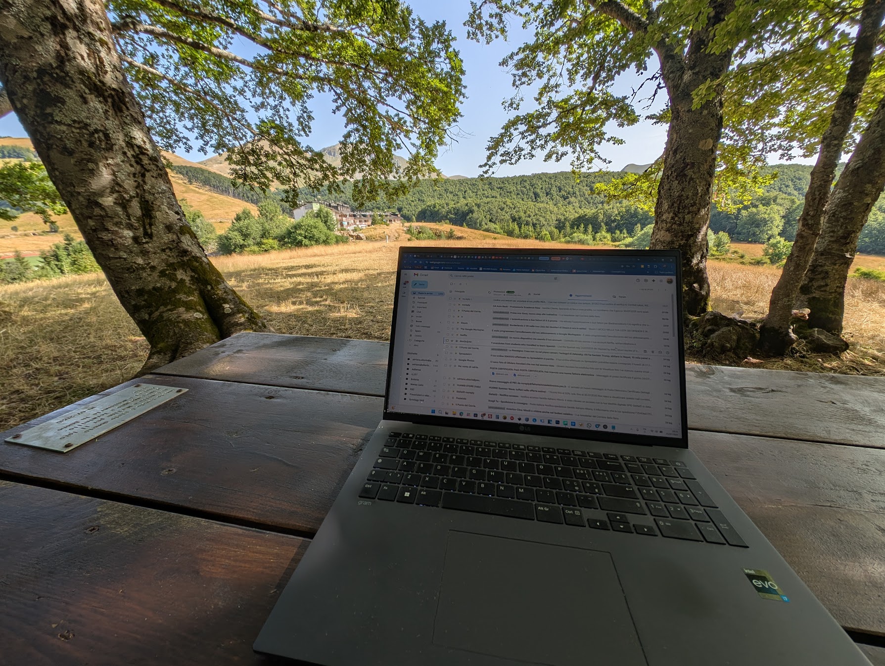 Ripristino aree pic-nic